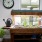 an area for indoor gardening